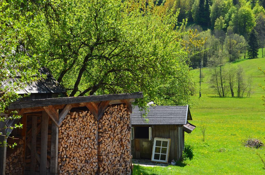 Bauernhof Konig Vila Anger  Exterior foto